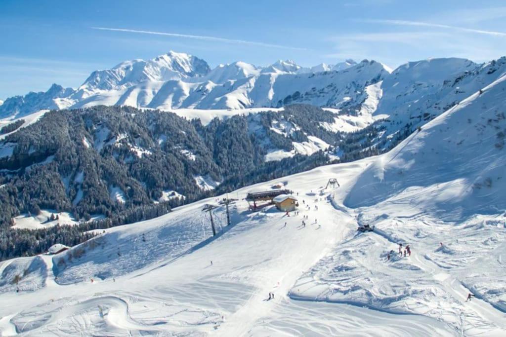 Superbe Studio,